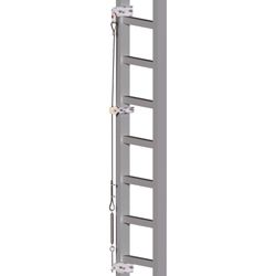 DELTA PLUS - Intermediate Fixation