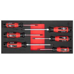OUTILAC - Module Avec 6 Tournevis Ph Et Pz