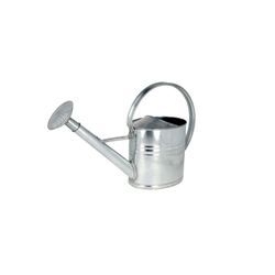 SOLID - Gieter GALVA met sproeikop - 10L